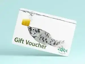 DC Freshwater Gift Vouchers - £100