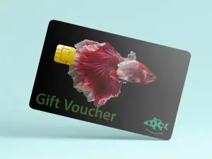 DC Freshwater Gift Vouchers - £50