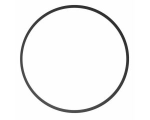 Spare O Ring UB Filter Lid