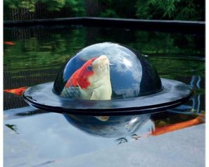 Koi Viewing sphere Medium