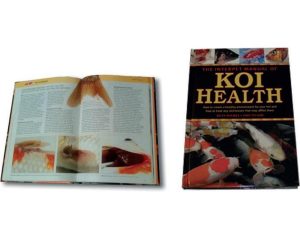 Koi Health