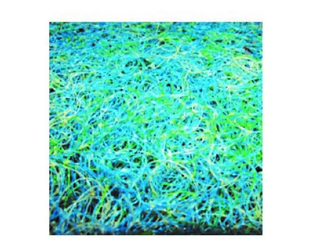 Japanese Mat (1.2m x 1m) Economy