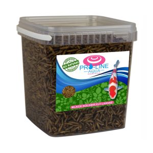 Pro-Line Aqua - BSF (Black Soldier fly) Larvae 2.5ltr 400g