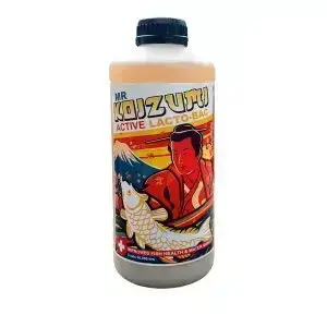 Mr Koizumi - LactoBAC 1ltr