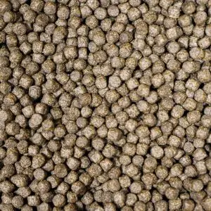 NT Labs Medikoi - Probiotic Growth 6mm - 3kg