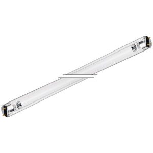 15W Phillips Lamps