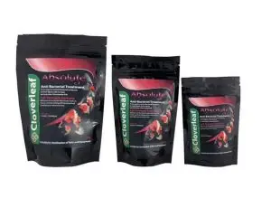Cloverleaf ABSOLUTE CT (Chlorimine T) 55g
